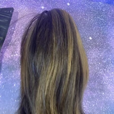 Sofeiyan 13" Ponytail Extension Long Curly Ponytail Clip in Claw Light Auburn