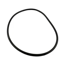 Waterway Plastics Pro Clean Filter Lid O-Ring 805-0448B