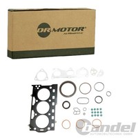 Dr.Motor Motordichtsatz Motor Dichtungen Passend FüR Seat Cordoba Ibiza Toledo S