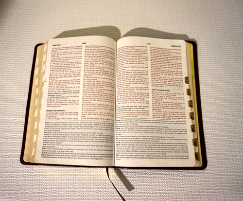 Barbour KJV Study Bible King James Version RED LETTER Indexed Brown Leather 2011 - Picture 3 of 5