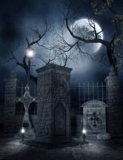 Halloween Night Moon Cemetery Tombstone Backdrop 5x7ft Vinyl Photo Background LB