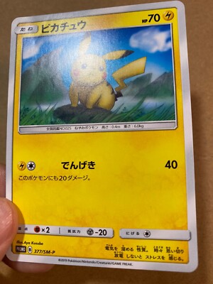 Pikachu 377/SM-P Promo 2019 Pokemon Card Japanese | eBay