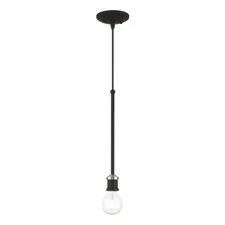 Livex Lighting - Lansdale - 1 Light Pendant In Transitional Style-21 Inches Tall