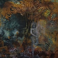 Apostle Of Solitude From Gold To Ash (Cd) Album