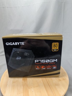 GIGABYTE GP-P750GM 750 W 80 PLUS GOLD Certified Full Modular Power Supply