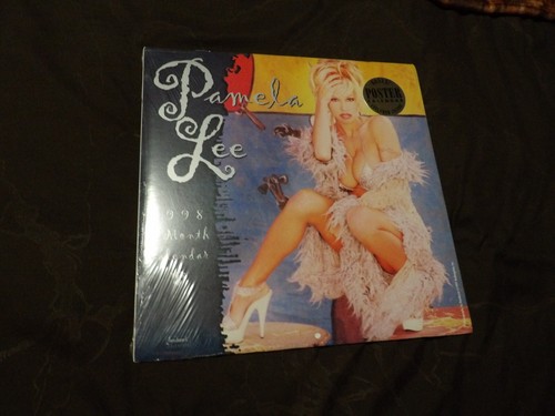 Vintage Pamela Anderson Lee Sexy Pin-up 16 Month Wall Calendar 1998 W. Poster