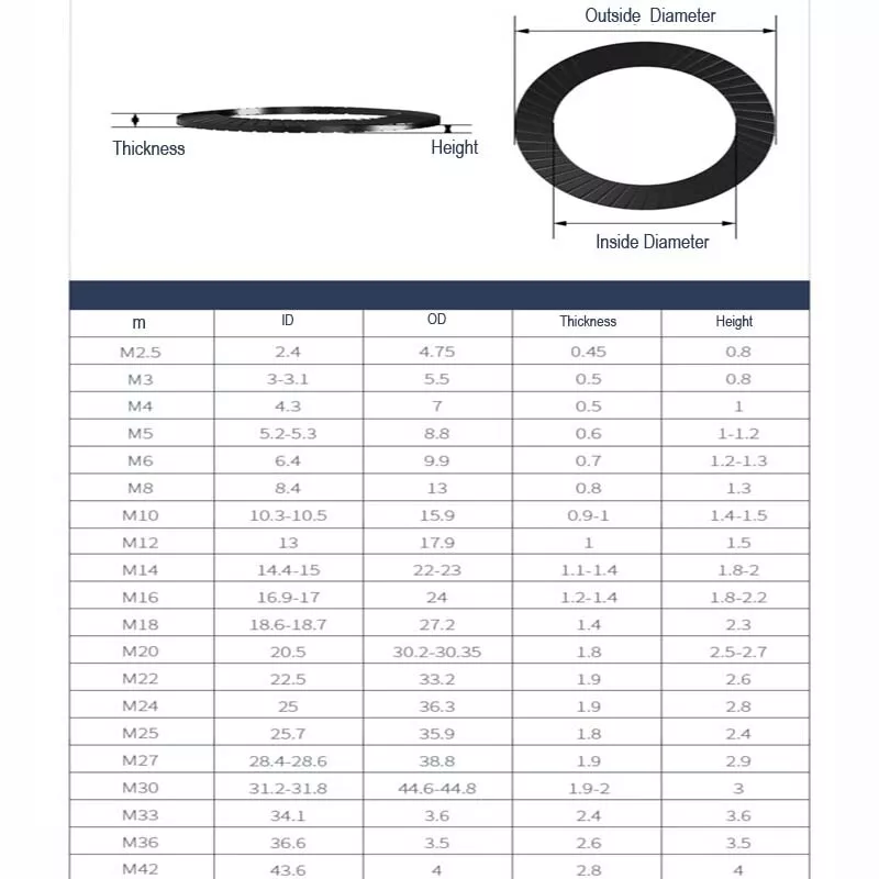 Sicherungsscheiben Schnorrscheiben Edelstahl V2A M2.5 M3 M4 M5 M6 M8 M10 M12-M42 - Bild 2 von 4