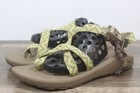 Chaco Z/2 Classic Women's Hiking Outdoor Sport Sandal Sz 12 {Fa-572] — photo 1