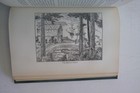 Picture 5 of 6