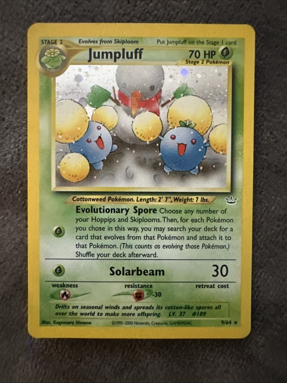 Jumpluff 09/64 Neo Revelation Holo