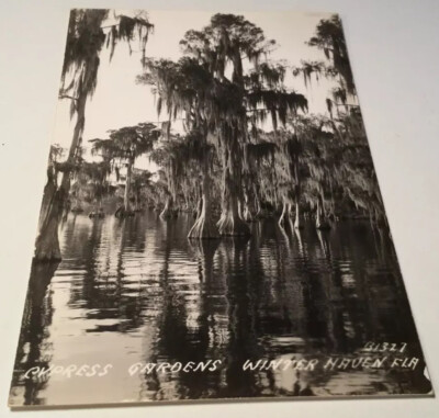 Vintage Postcard Cypress Gardens Winter Naren FL Real Photo Undivide Back EKE FL