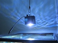 Kessil A360we Controllable Led Aquarium Light Tuna Blue Kessil A360we Controllable Led Aquarium Light Tuna Blue