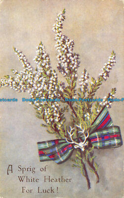 R077952 A Spring of White Heather For Luck. Scotch Embleme. Valentine