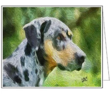 Catahoula 'Clancy' Fine Art Notecards - Set of Six