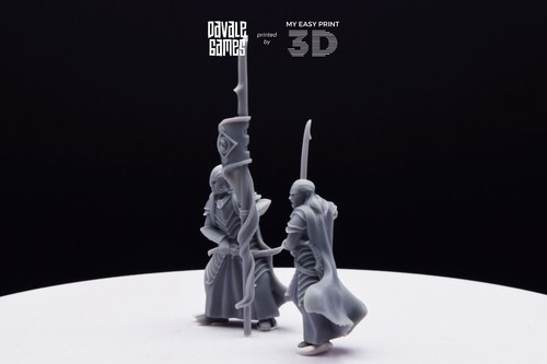 Bloody Elf Commander Davale Games 3D Printed With High Quality Resin - Picture 6 of 11