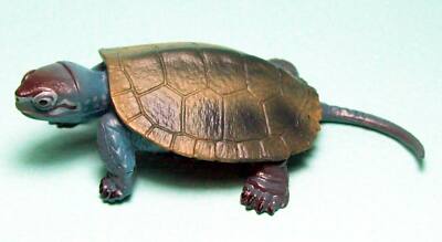 Takara Tomy 3D Capsule Encyclopedia Japanese pond turtle figure US seller new 