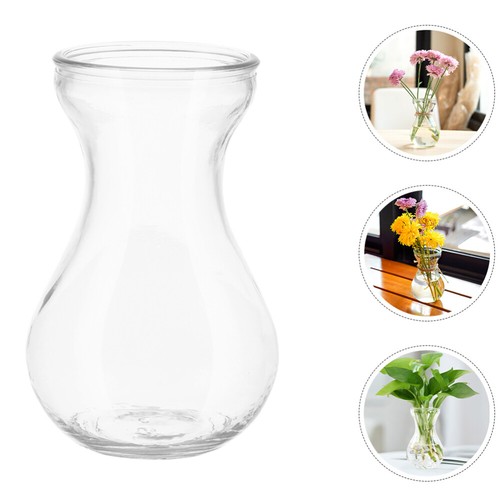 5 Stück Desktop-Glas-Pflanzgefäß, Hyazinthen-Glasvase, Pflanzen-Terrarium für - Bild 10 von 12