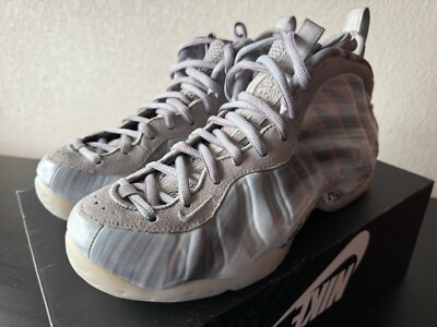 Nike Air Foamposite One QS  Dream A World - Tech Grey  DM0115-001 Men 7.5 No-Lid