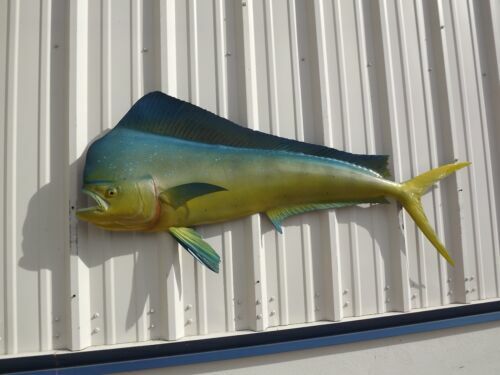 KREATIVE ARTS Canvas Set of 3 Marlin Blue, Mahi, Yellowfin KREATIVE ARTS Canvas Set of 3 Marlin Blue, Mahi, Yellowfin