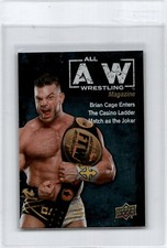 2021 Upper Deck AEW All Elite Wrestling Rainbow Foil Parallel  Brian Cage