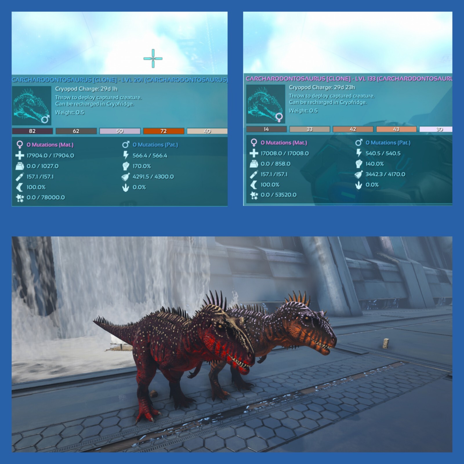 Ark Survival Evolved Xbox One Pve offizielles Carcharodontosaurus Paar (Klon) {b}