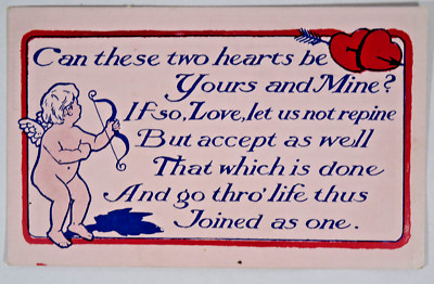 c1910s H E Stein Valentines Day Postcard Unposted USA