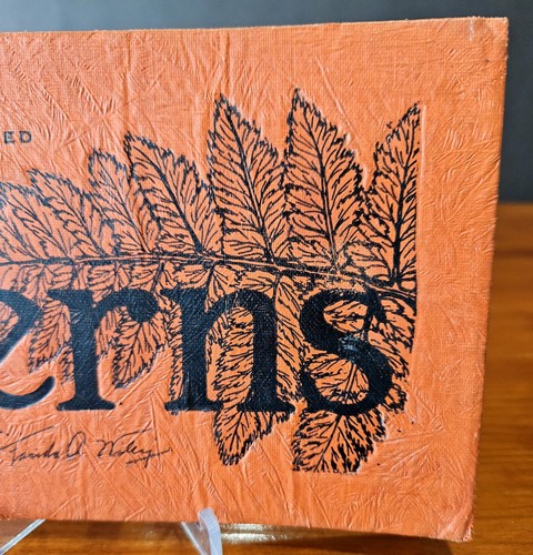 Vintage 1948 Illustrated "Revised Ferns" by Farida A. Wiley Paperback AMNH GUC - Picture 4 of 24