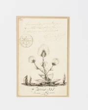 King of the French / manuscript document signed by Louis Philippe to the French