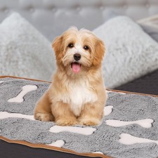 Pet Blanket, Flannel Bone Printed Throw Blanket,21x30 Inches, Gray, 1 Pack 3 