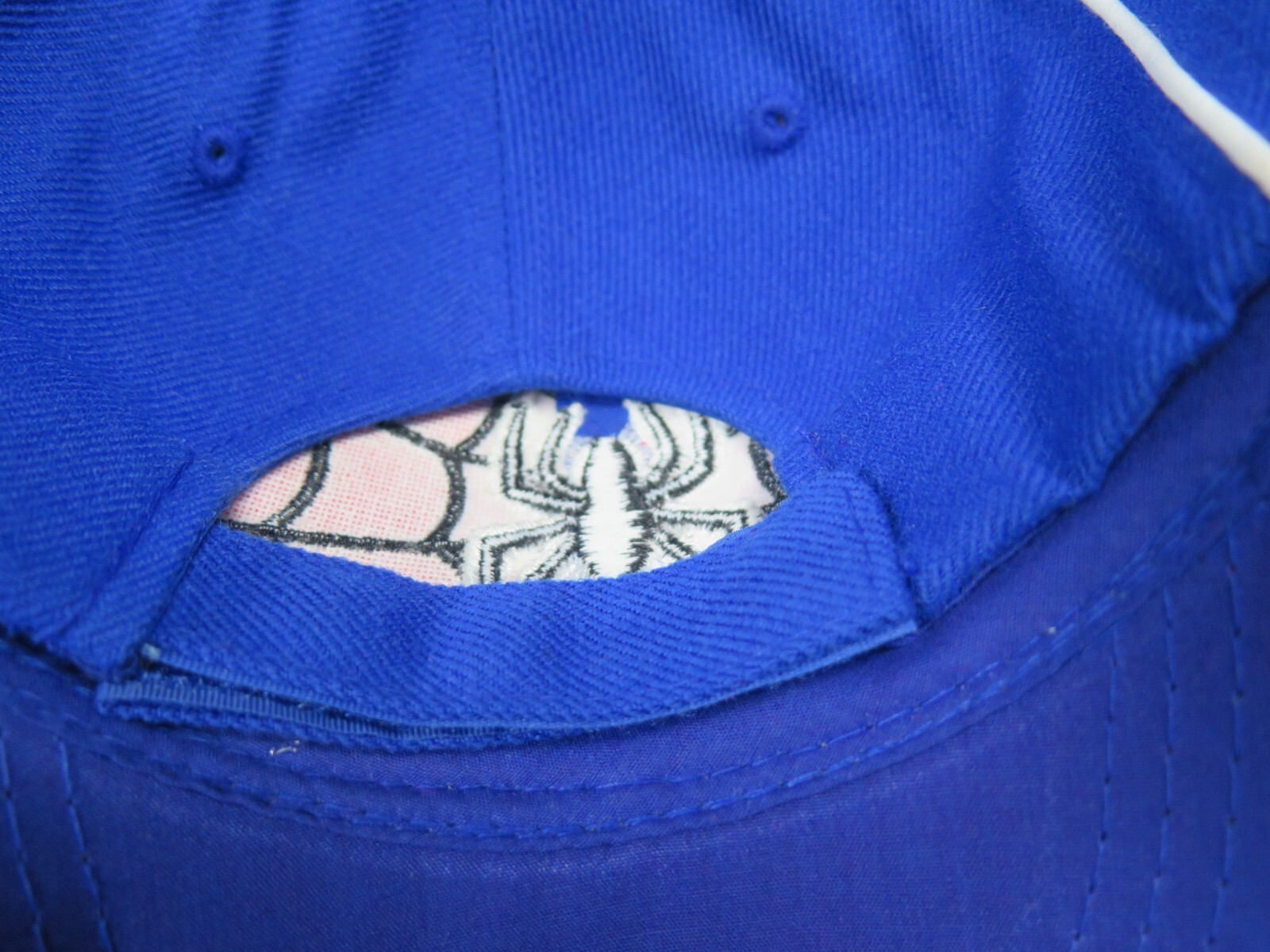 Picture 5 of 6