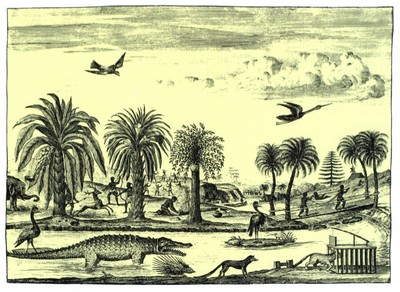 334394 Drawing Fine Graphic Design Animal Landscape Print Poster Us Ebay