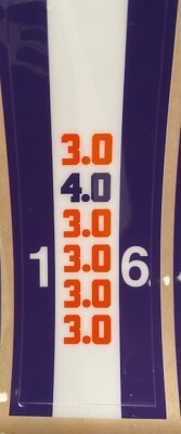 Trevor Lawrence 2020-21 Clemson Tigers FULL SIZE helmet stripe