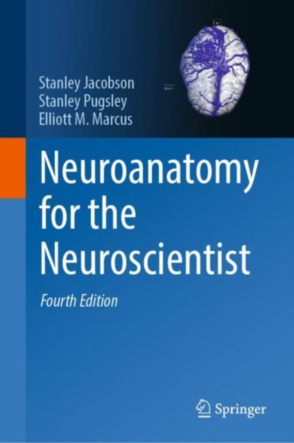 Springer Neuroanatomy For The Neuroscientist - Image 3