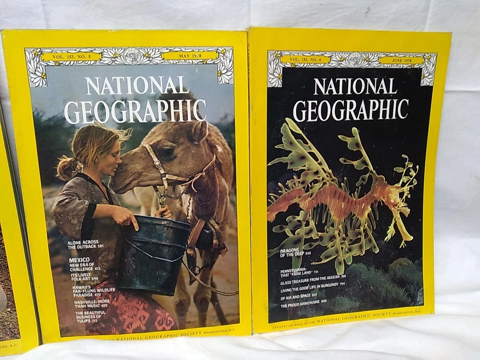 National Geographic Magazine lot of 8 with Middle East map supplement 1978 - Image 3 of 4