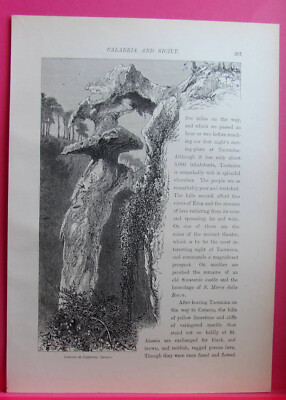 PICTURESQUE EUROPE WOODCUT - Lattomia di Cappucini, Syracuse