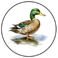 MALLARD DUCK ENVELOPE SEALS LABELS STICKERS PARTY FAVORS