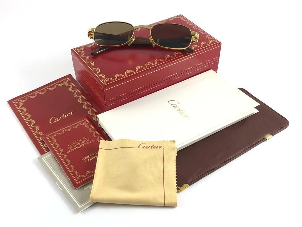 Cartier frames best sale ebay