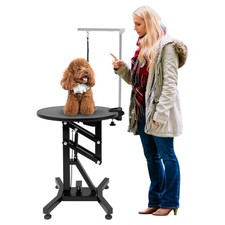 Electric Lift Dog Grooming Table 24" Rotating Desktop w/ Adjustable Overhead Arm