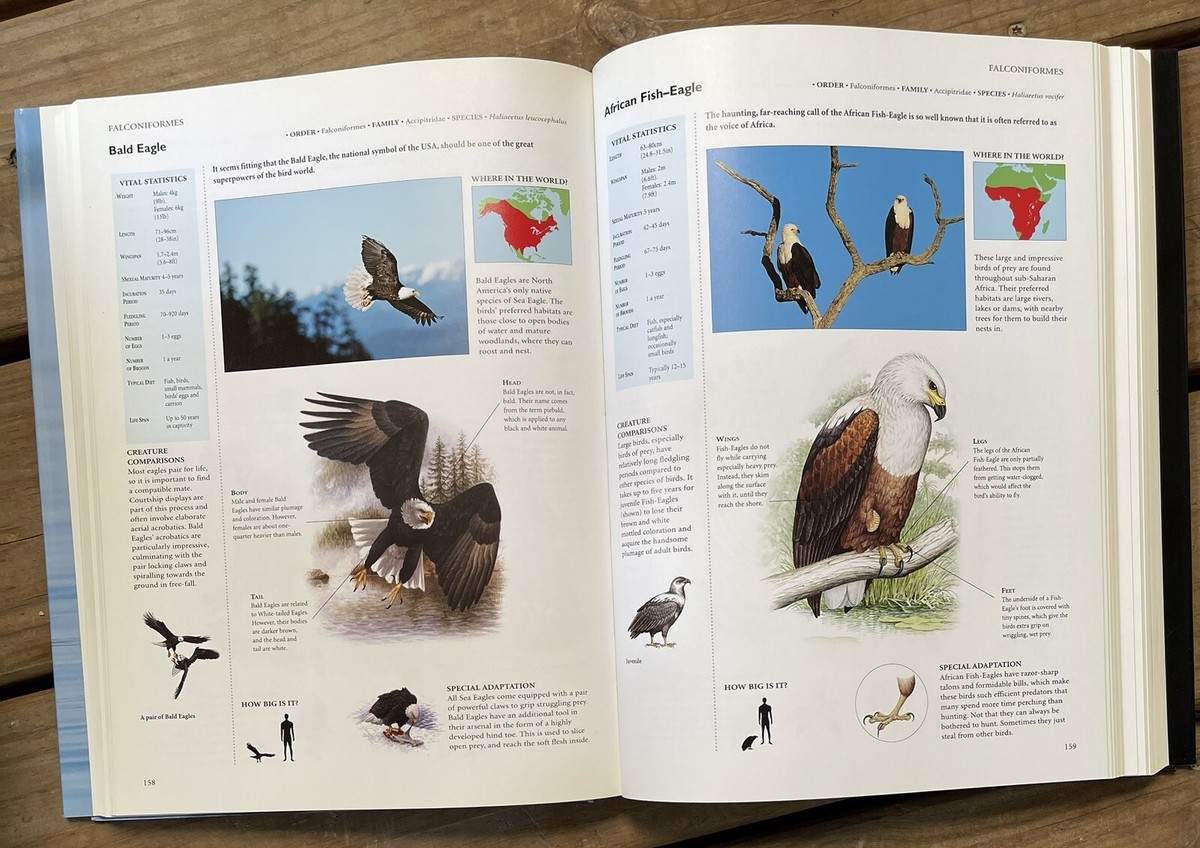 Complete Illustrated Encyclopedia of Birds of the World Per Complete Illustrated Encyclopedia of Birds of the World Per