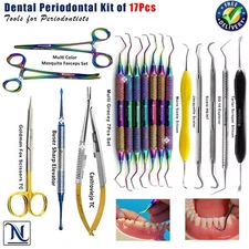 Professional Dental Scaling Periodontal Instruments Curettes Tartar Scaler Tools