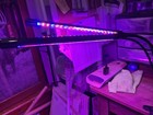 Indoor LED Hydroponic Plant Growing Light — photo 1