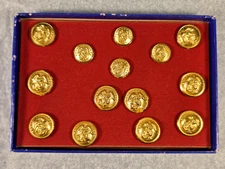 Vintage Meyer Insignia Gold Tone Military Uniform Buttons Eagle Lot Set Of 14