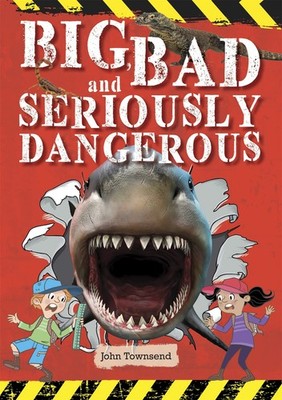 Reading Planet KS2 - Big, Bad and Seriously Dan. Townsend*#