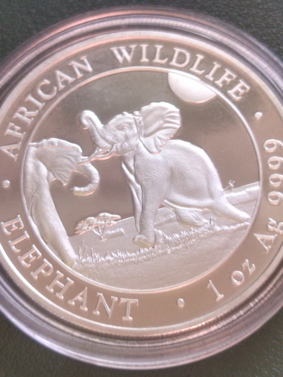 1 OZ PLATA SILVER ELEPHANT SOMALIA.2024. PROOF.ELE-21.