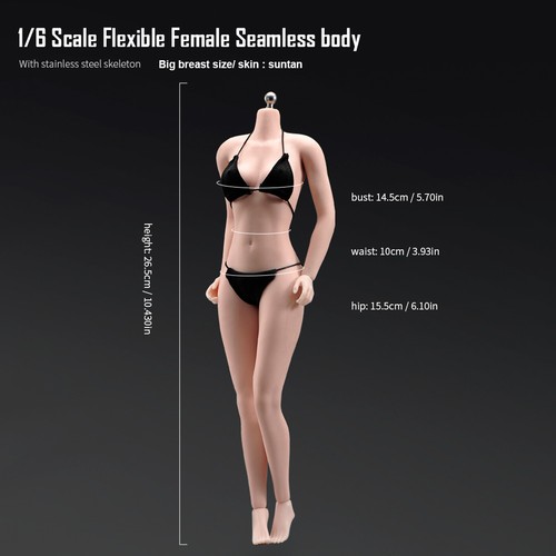 1:6 Scale Flexible Seamless Body Large Bust Breast For 12''Female Figure Toy - Bild 21 von 32