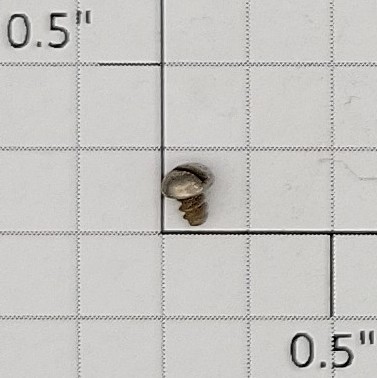 American Flyer S-147 907 Boom Car #2 x 1/8'' Pan Head Slotted Self Tapping Screw