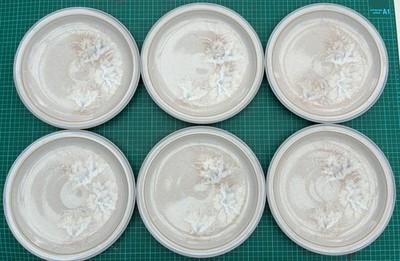 Vintage Denby ''Tasmin'' Speiseteller x 6, 10,25''/25,5 cm Durchmesser Sehr guter Zustand