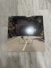 The Backseat Lovers When We Were Friends Colored Galaxy Vinyl Record LP IN HAND