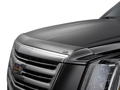 WeatherTech Low Profile Hood Protector for Expedition Max/Expedition