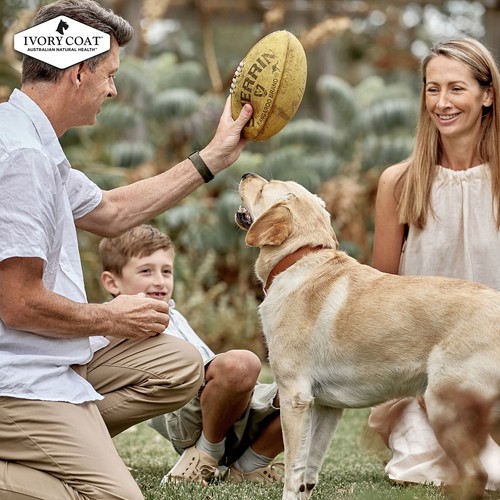 Ivory Coat Turkey & Duck Grain Free 2kg Pet Dog Dry Food Health Nutrition Dogs - Picture 4 of 13